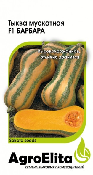 Семена Тыква Барбара F1 мускатная (АгроЭлита)
