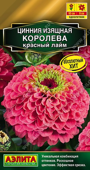 Семена Цинния Королева красный лайм (Аэлита)