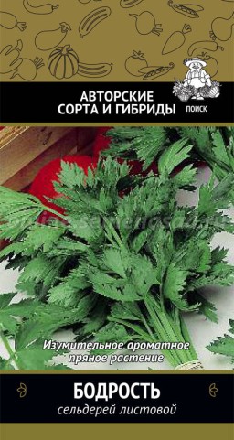 Сельдерей Бодрость листовой (Поиск) Сельдерей Бодрость листовой (Поиск)