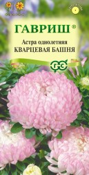 Астра Башня Кварцевая пионовидная (Гавриш)