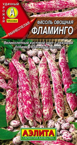 Фасоль Фламинго желто- красная кустовая спаржевая (Аэлита) Фасоль Фламинго желто- красная кустовая спаржевая (Аэлита)