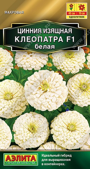 Семена Цинния Клеопатра F1 Белая (Аэлита)