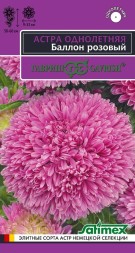 Астра Баллон Розовый шаровидная (Гавриш)