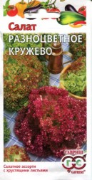 Салат Разноцветное кружево (Гавриш)
